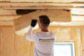 Eco-Friendly or Green Insulation Solutions in Brent, FL